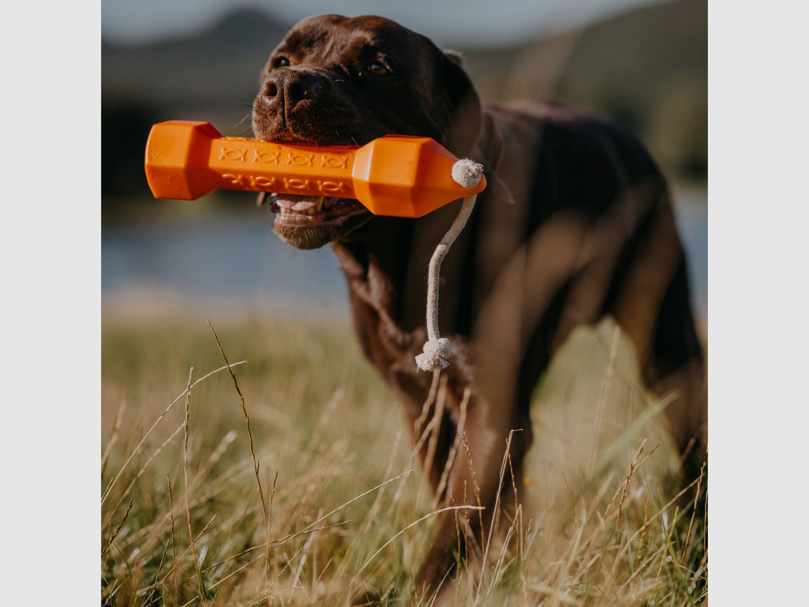 HP&G Apportierdummy Balance Bumper 320g Arancione