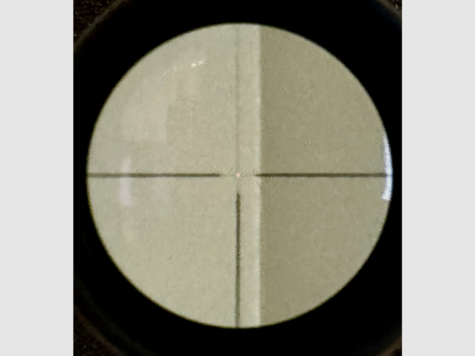 ZEISS Victory Diavari 3-12x56 T* con reticolo luminoso digitale 66