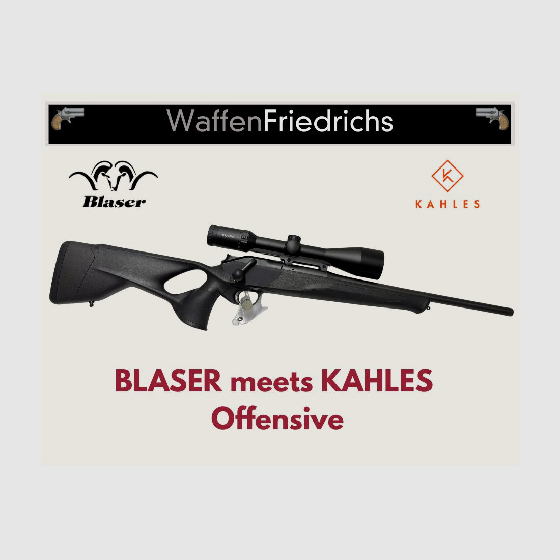 Blaser R8 Ultimate Conjunto Completo - Armas Friedrichs
