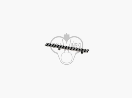Szyna (adapter) Picatinny