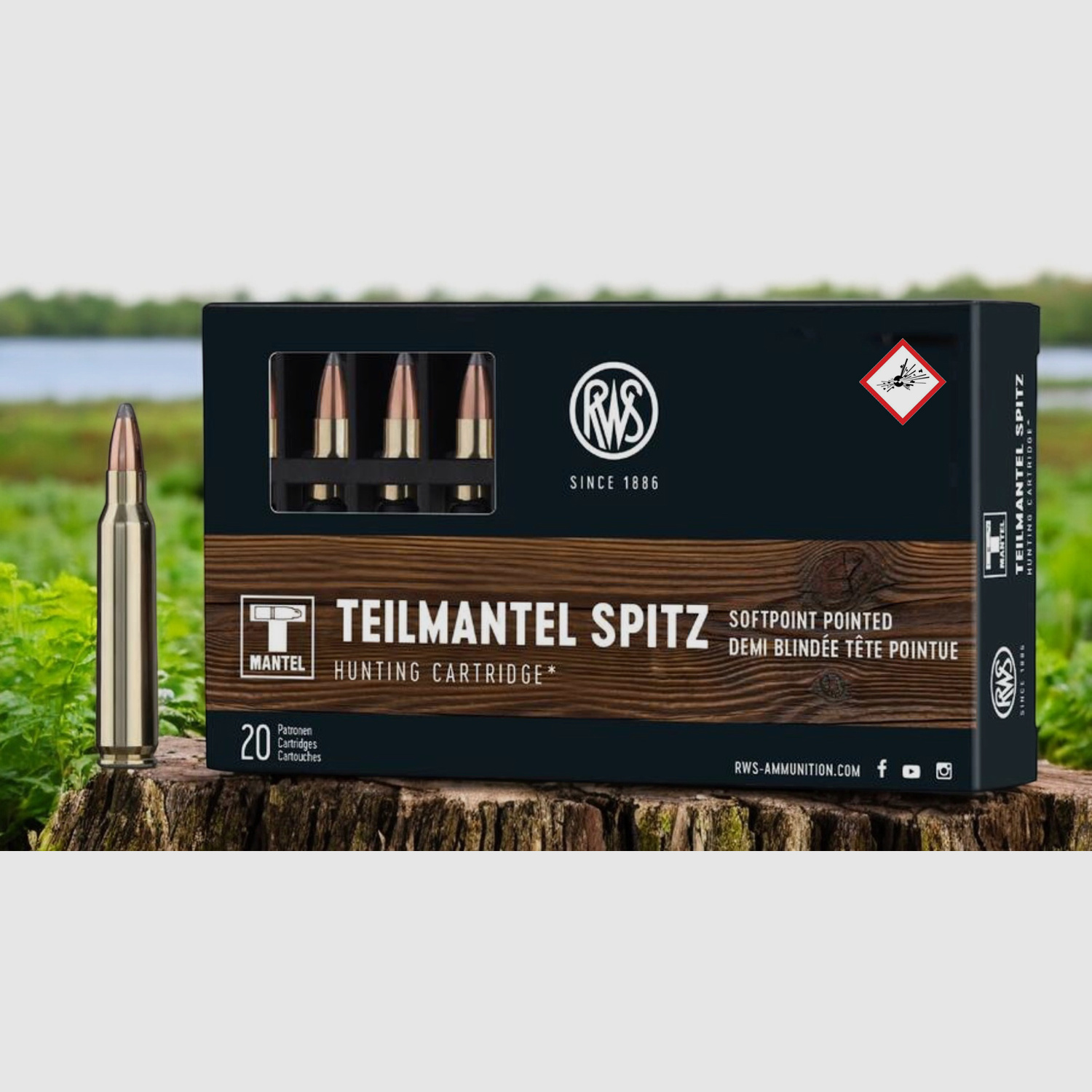 RWS Büchsenpatrone TMS Kal. .223 Rem 55gr / 3,6 g