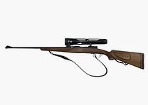 Steyr Mannlicher GK