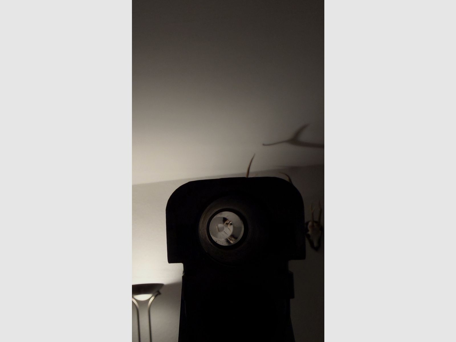 Bockdoppelflinte A.V. Maroccini Forest Kaliber 12/76 Stahlschrot