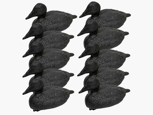 Pack de 10 Eiders Noirs Appelants Flottants Réaliste