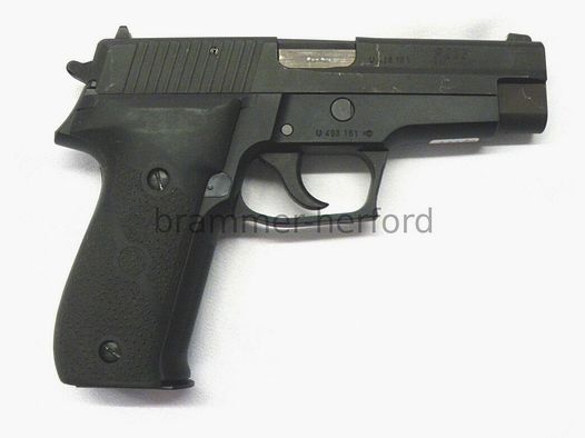 Sig Sauer	 P226