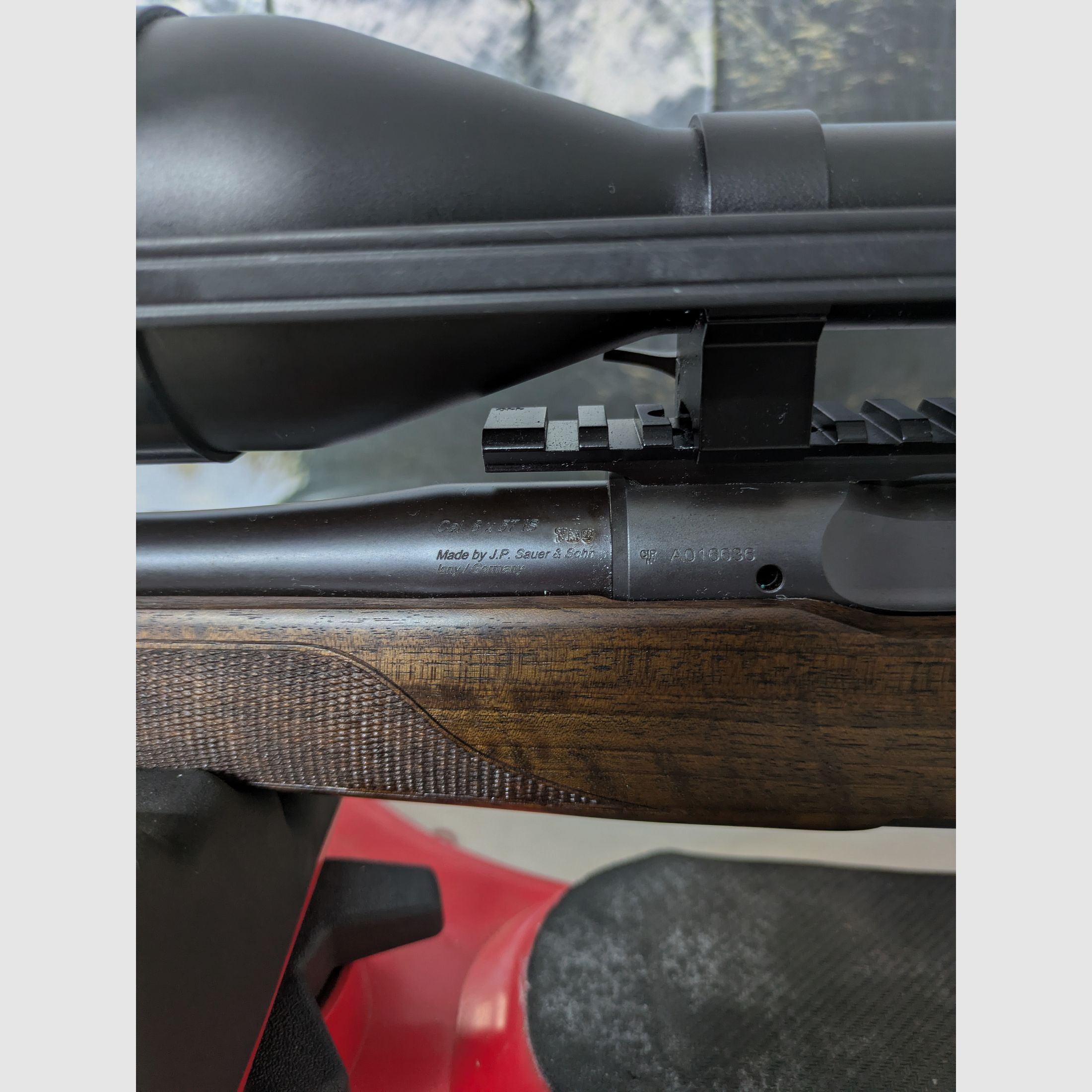 Büchse Sauer 101Forest