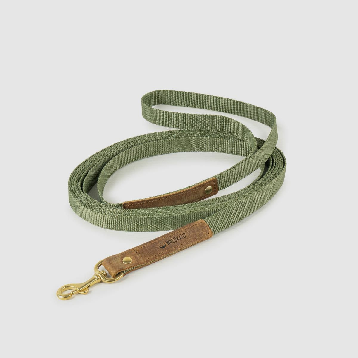 Trainingsleine "Praktikant" 5m oliv