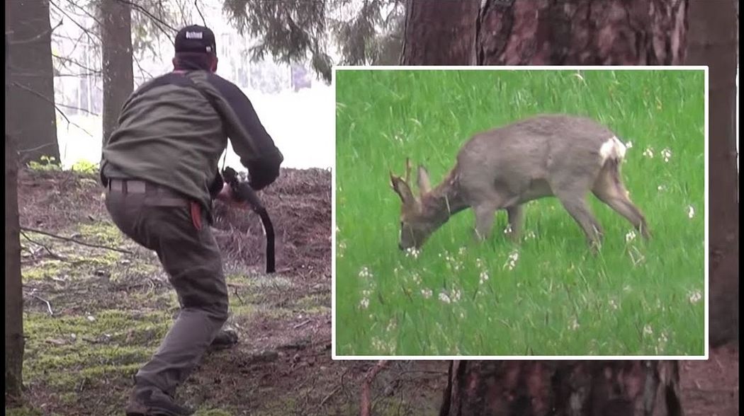 Opening Day Roe Buck Hunt In Germany (Rehbockjagd 1. Mai), Season 5 V35