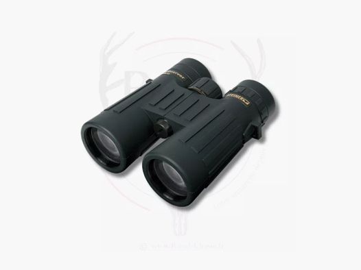 Jumelles OBSERVER 10X42 STEINER