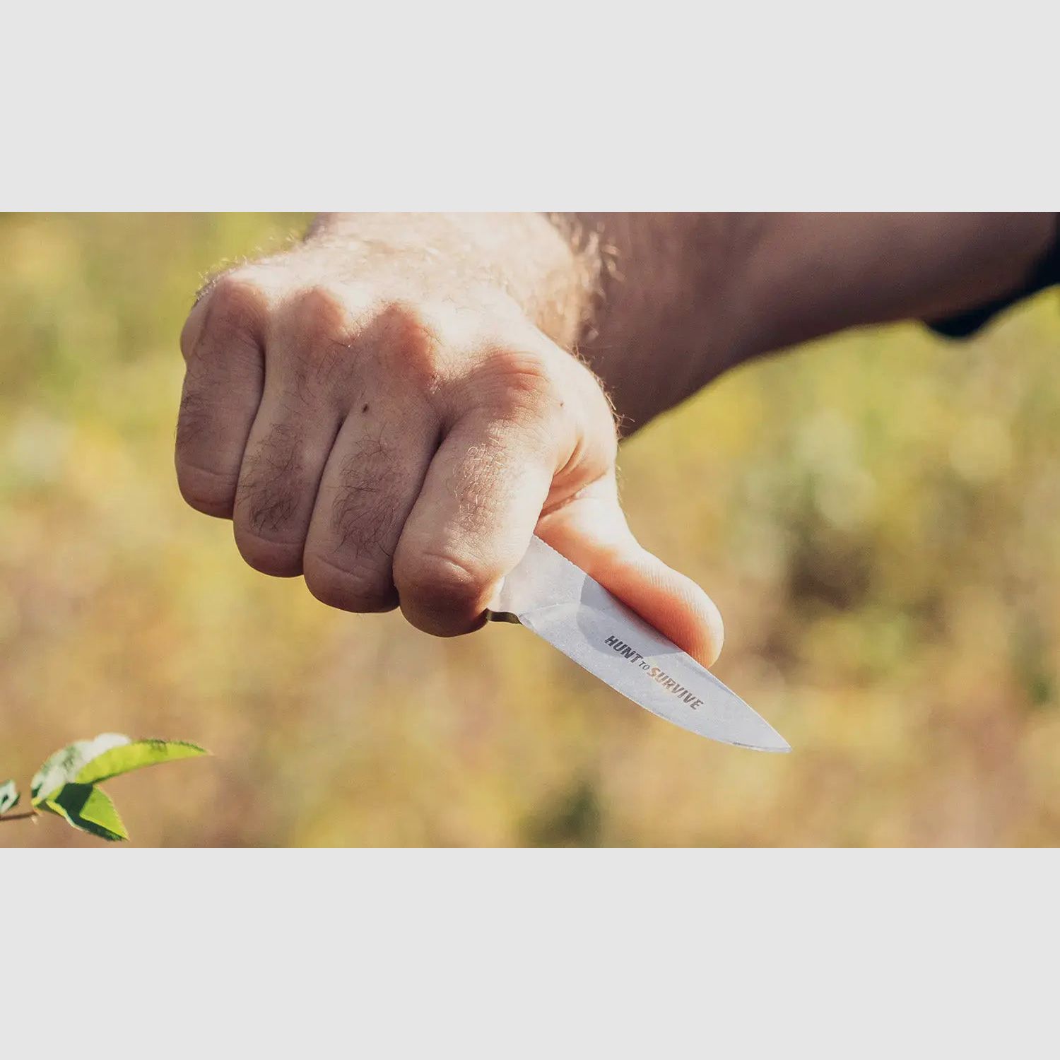 PUMA marcassin "HUNT to SURVIVE" Édition, Böhler N695