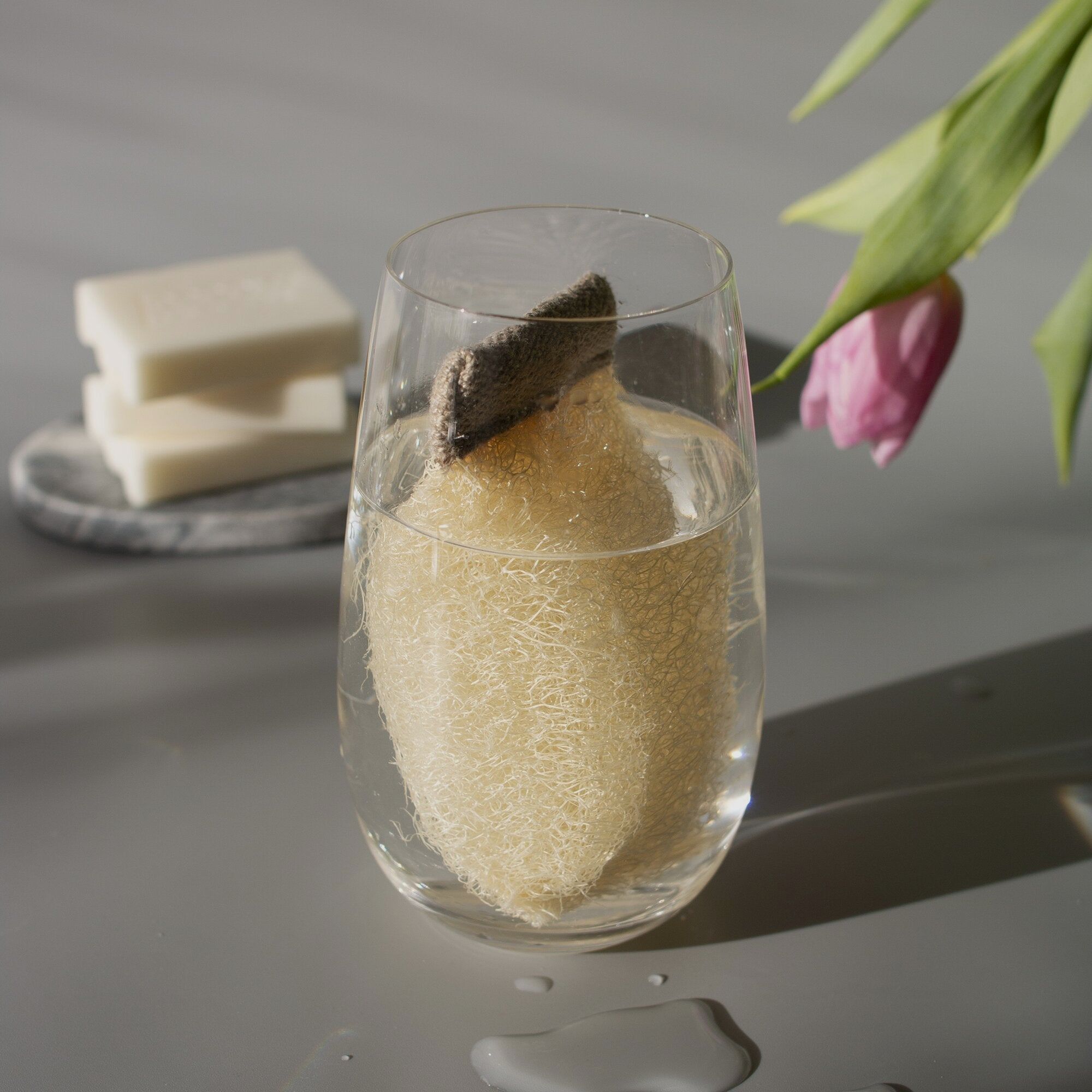 Clearo Spugna Luffa e Supporto per Detergenti Solidi, immagine 1 di 12