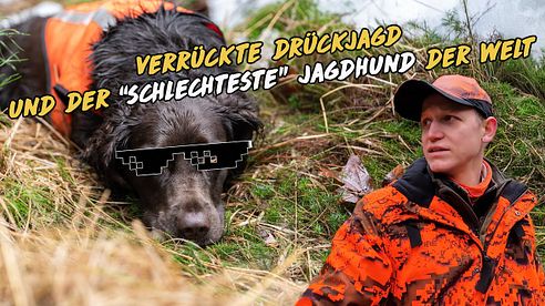 Verrückte Drückjagd und der "schlechteste" Jagdhund der Welt