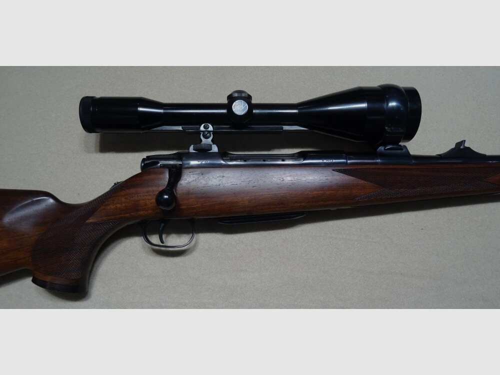 Sauer	 90