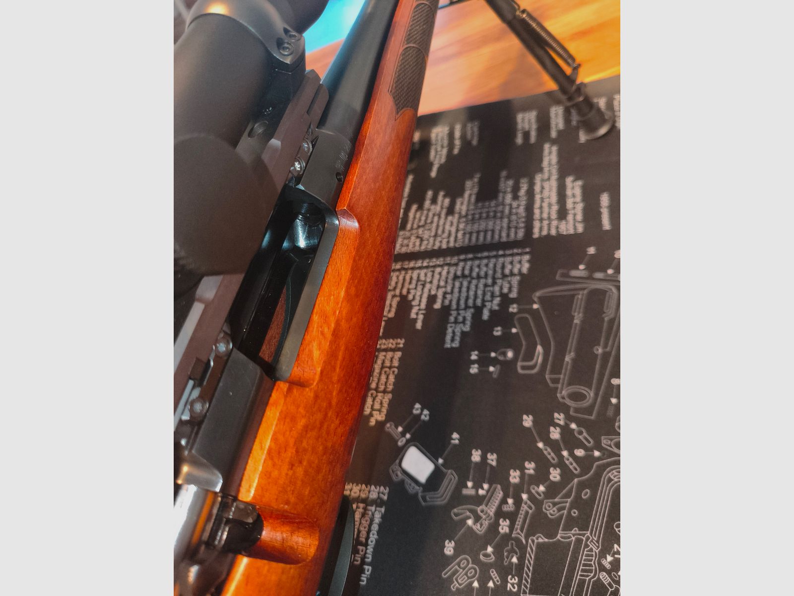 CZ 557 RANGE(R) .308WIN JUNGJÄGER/KOMPLETT/DRÜCKJAGD GPO SPECTRA DENTLER