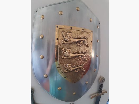 Pregevole scudo da collezione del marchio produttore