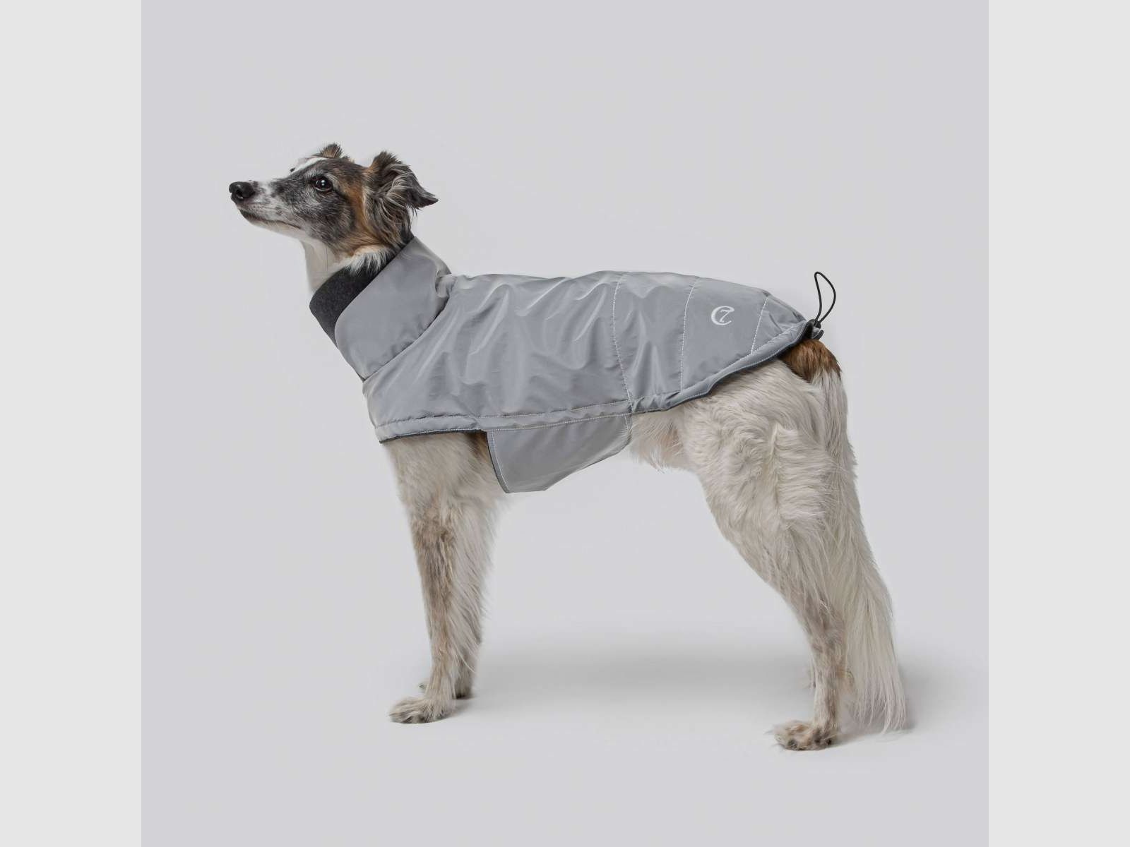 Manteau pour chien Brooklyn Reflective, image 2 sur 7