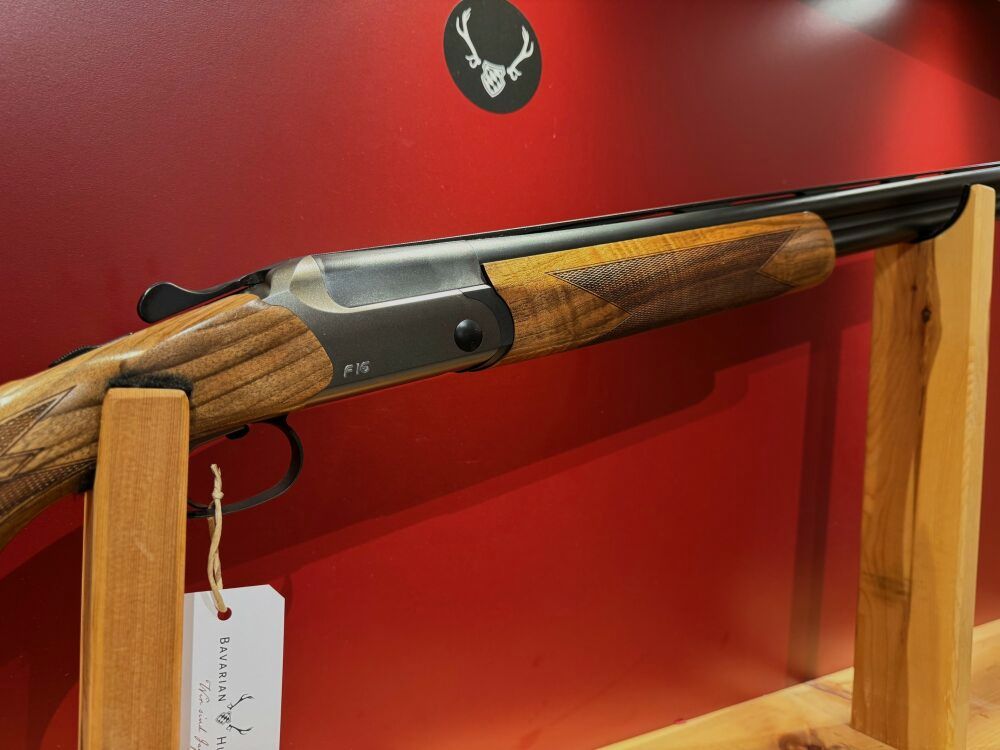 Blaser F16 Game