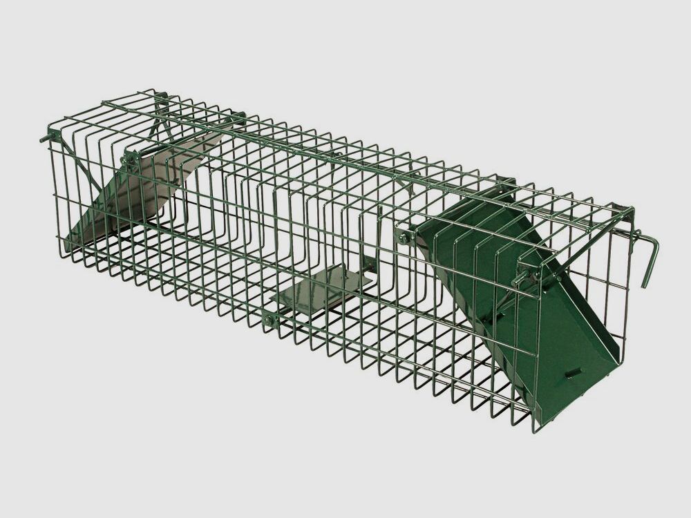 Drahtfalle, zweiseitig