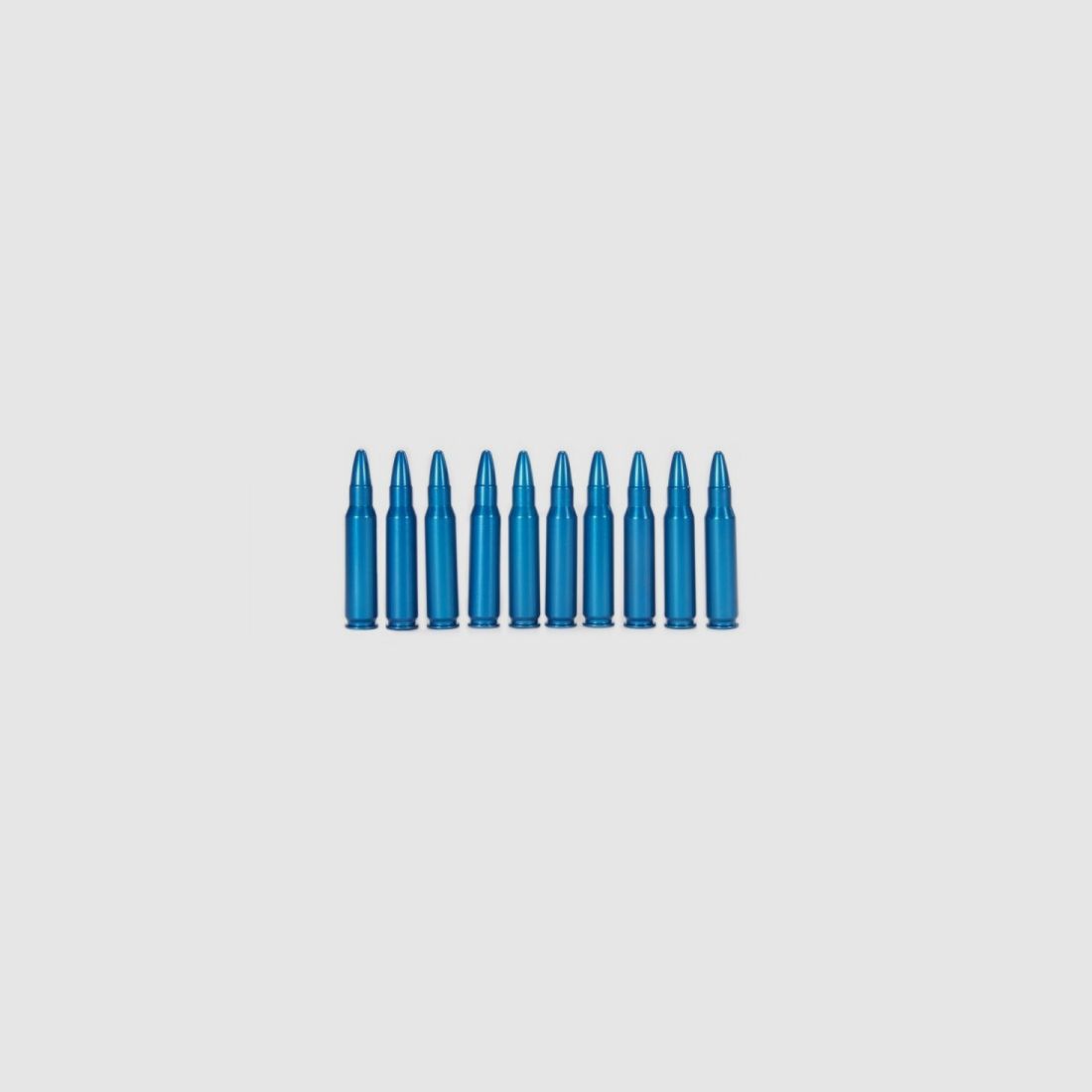 10 blank cartridges 308Win blue