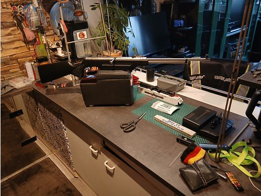 Hänel 310 (Modefiziert)Einzelanfertigung