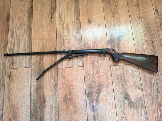 Luftgewehr BSA historisch um 1900