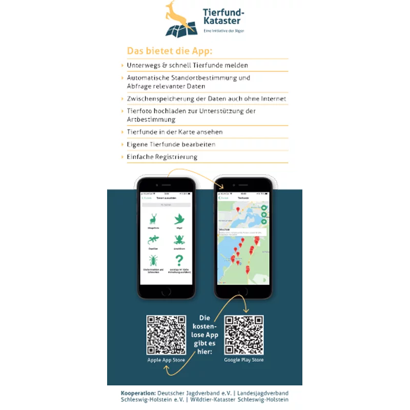 Volantino "App del Catasto degli Animali Trovati", immagine 2 di 2