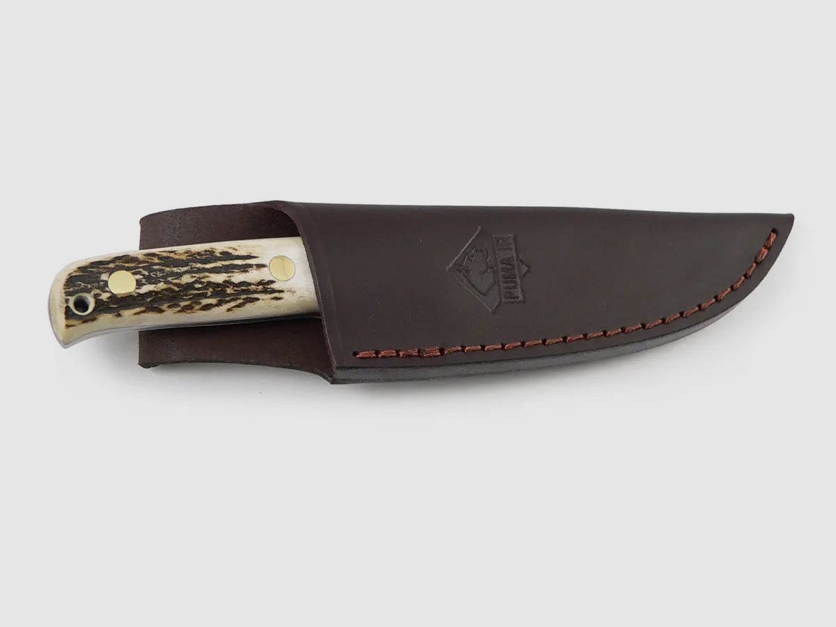 PUMA IP cantabo, stag