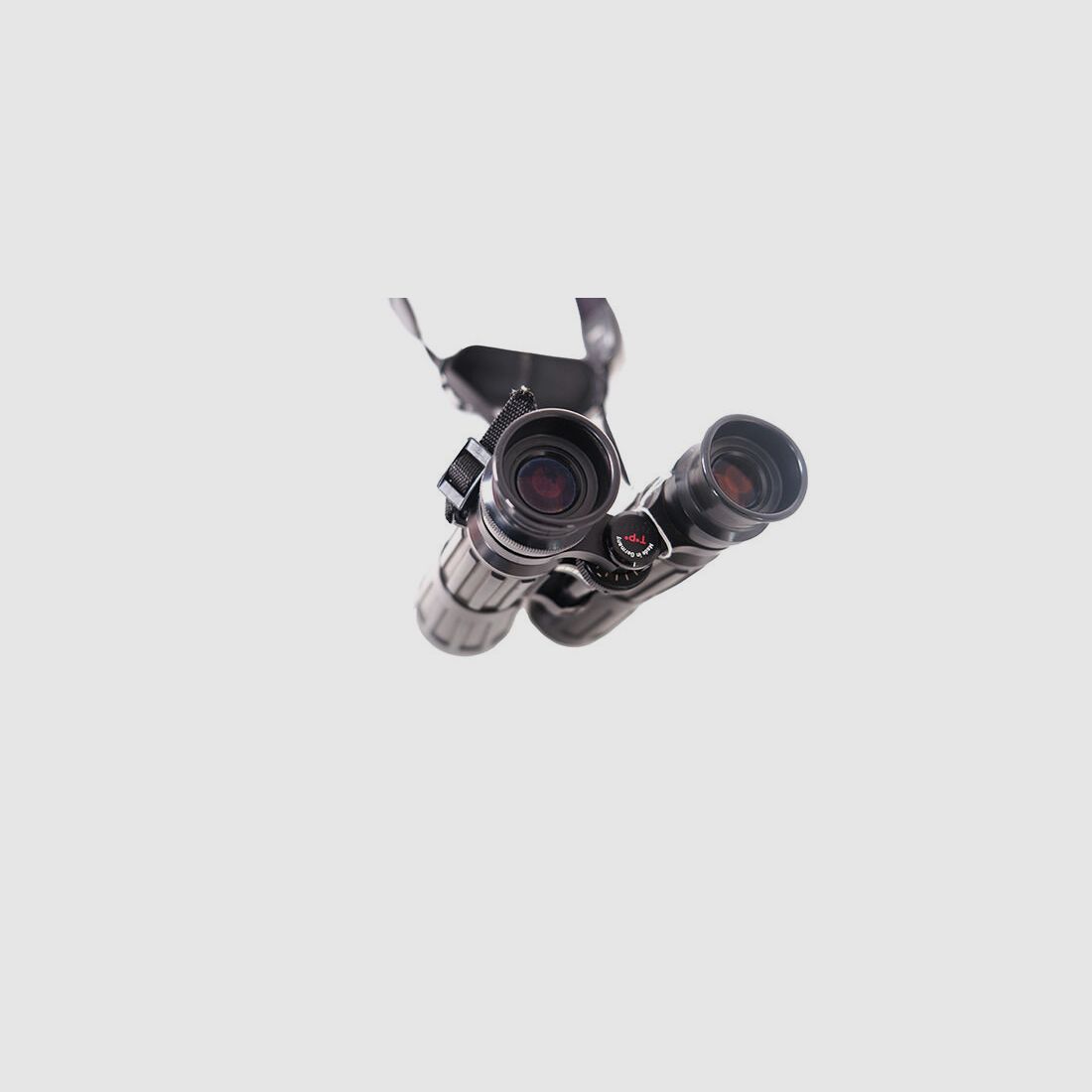 Zeiss Dialyth T*P* 8x56