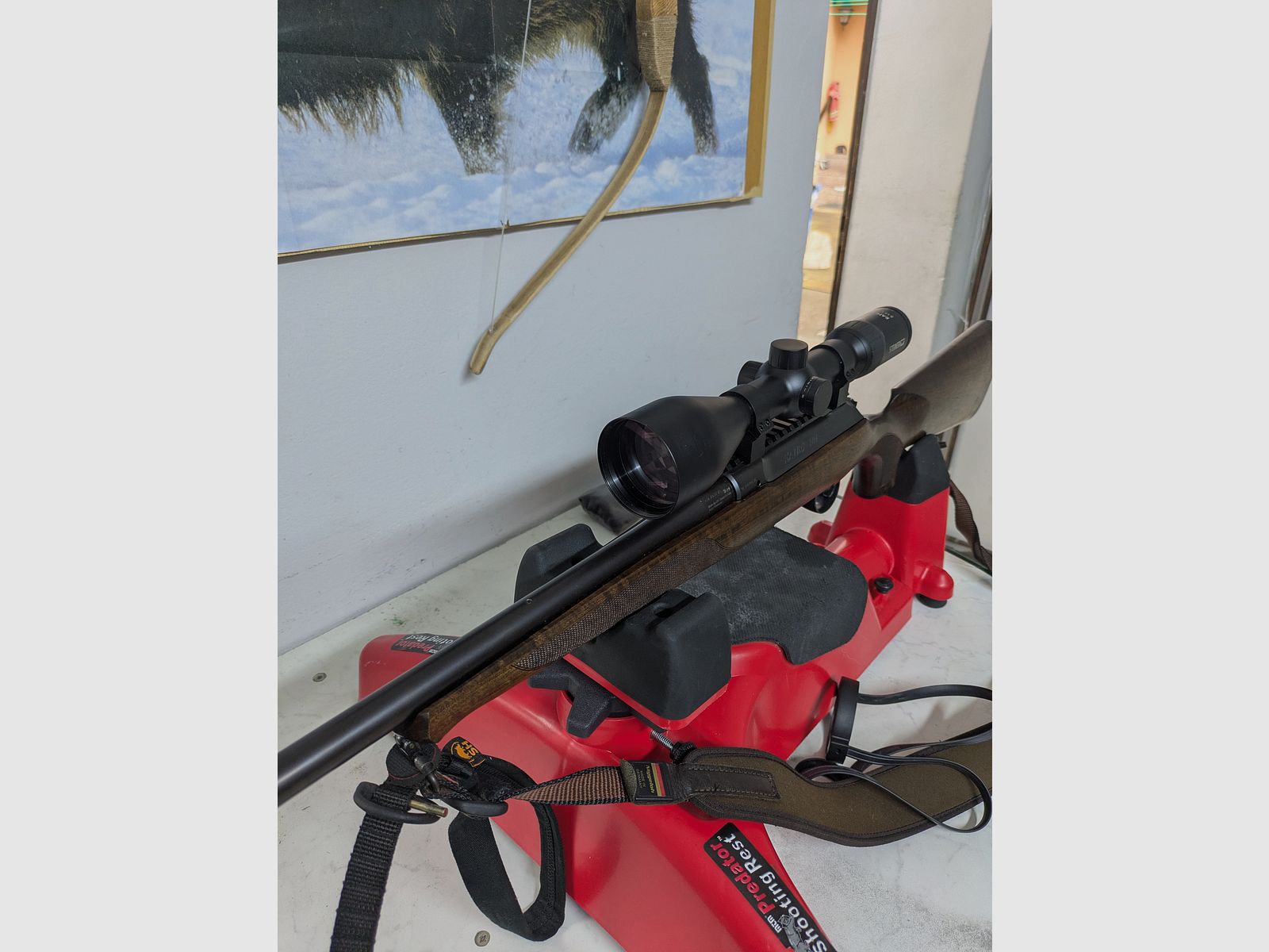 Büchse Sauer 101Forest