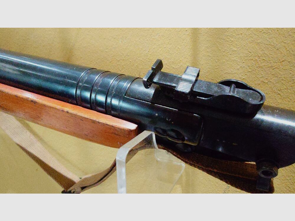 Haenel 303