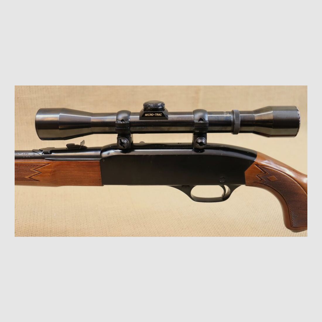 Fusil semi-automatique Winchester 290 .22lr