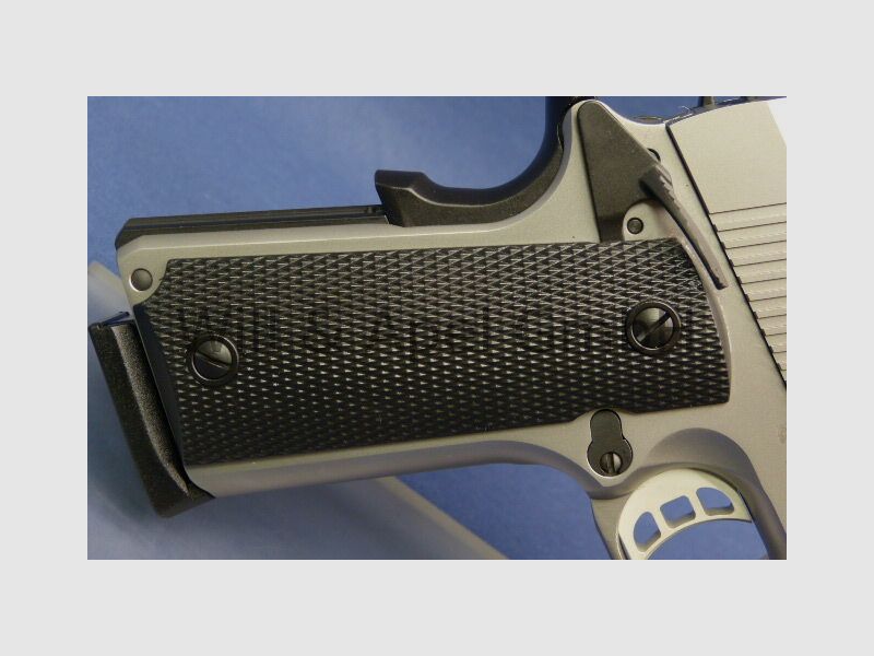 TISAS PC1911