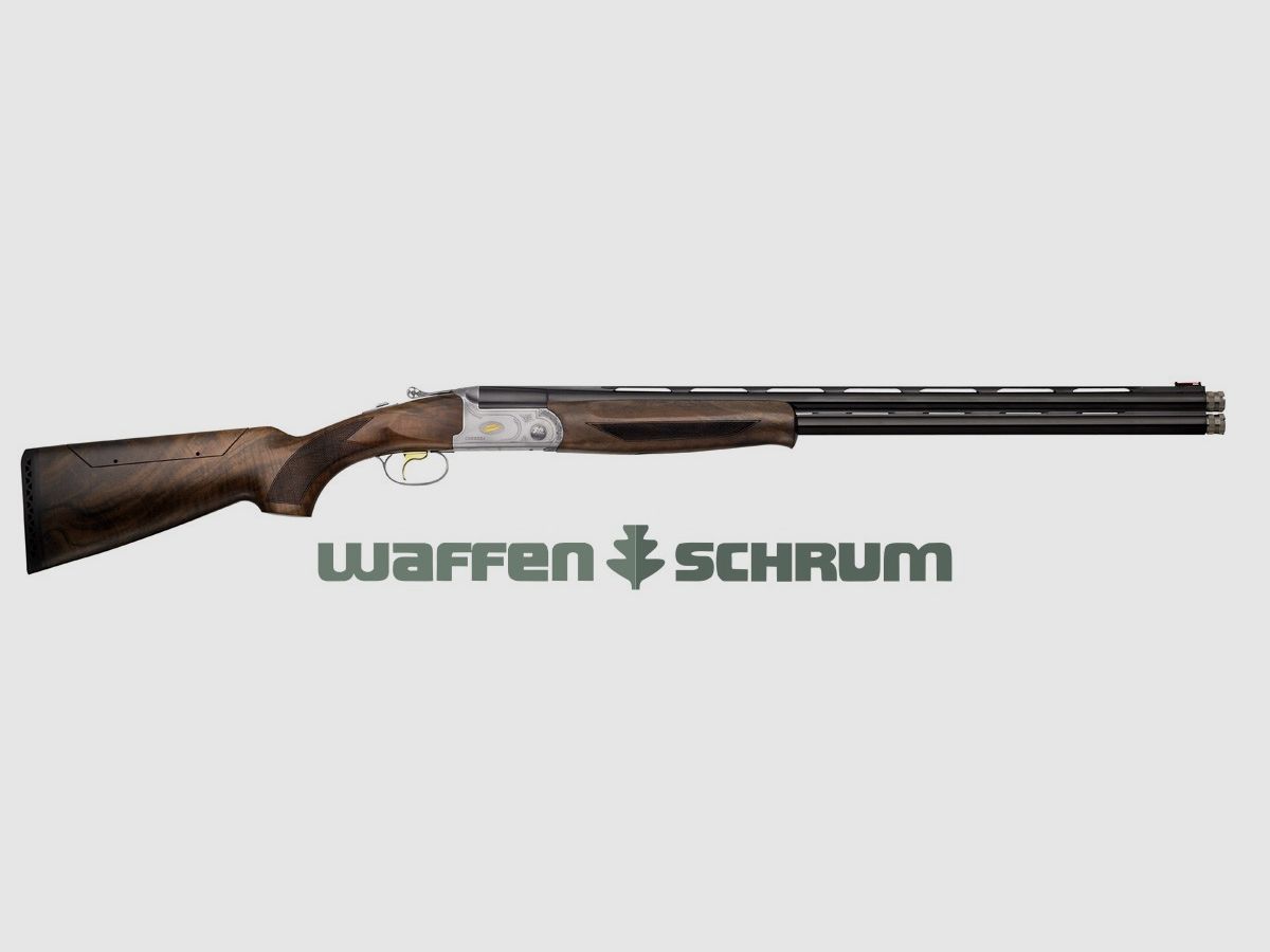 Fair Carrera HSX Sporting gold-colored. Release Ext.-Technichoke XP70 / Stock adjustment