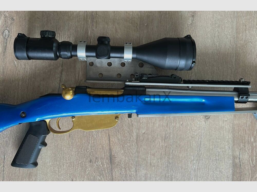 Steyr Arms Modificado .308Win