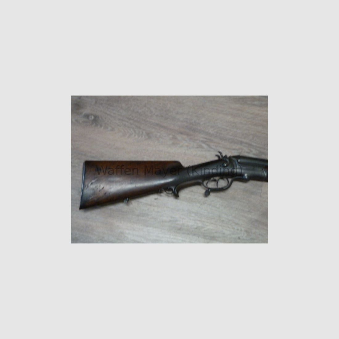 escopeta de perro desconocida