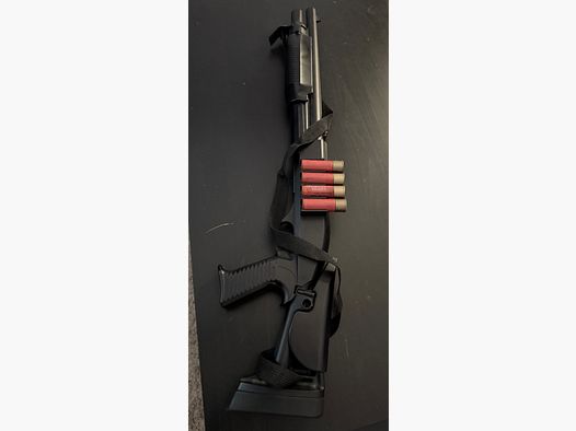ASG Franchi SAS 12 