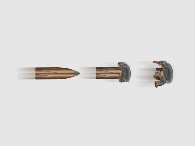 Geco Softpoint .308 Win. TM 11,0g 170gr