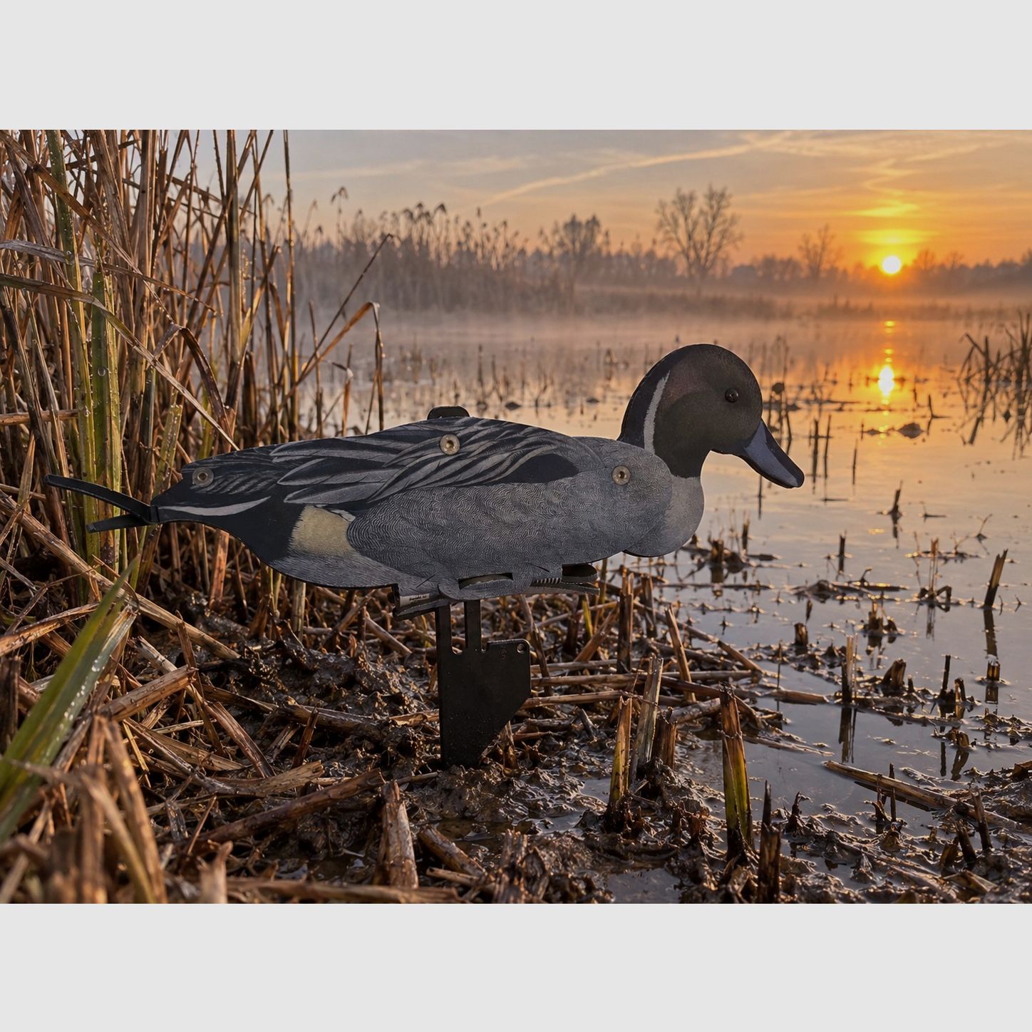 NRA FUD Northern Shoveler 6 sztuk + GOLD-RACE 7,5 ml - Lotto, zdjęcie 2 z 9