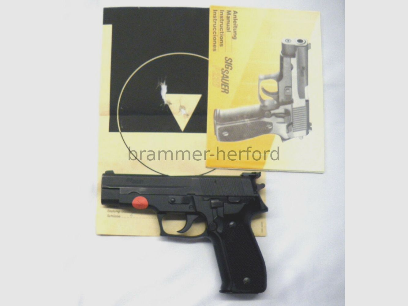 Sig Sauer (1) P226