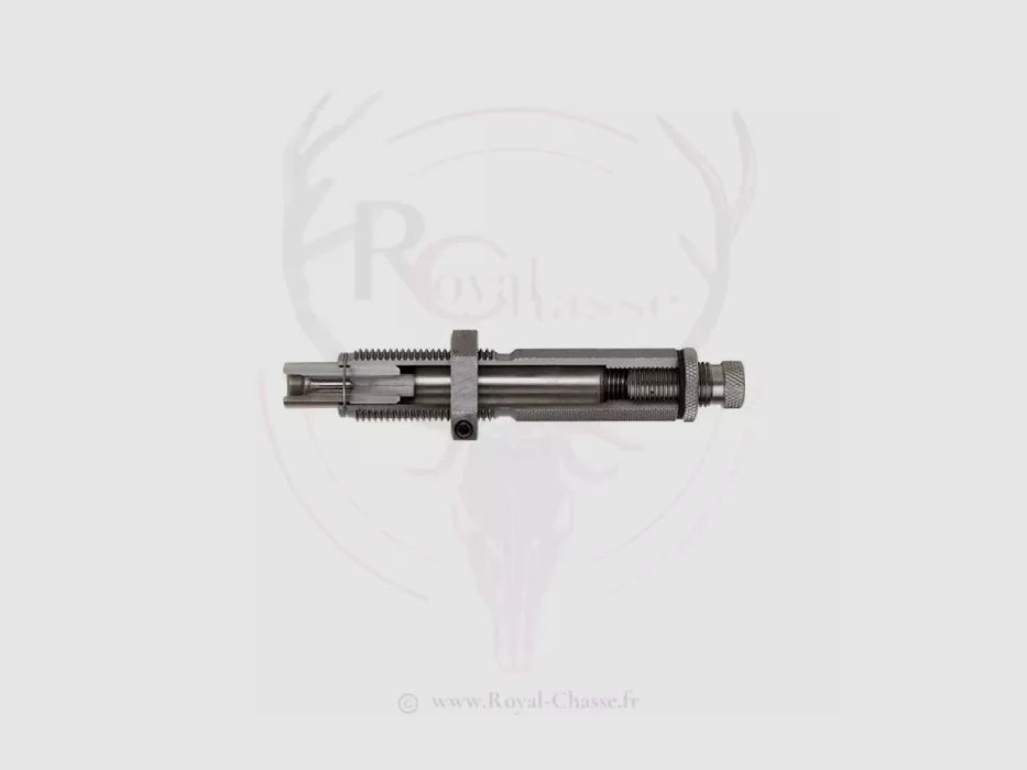 Siégeur .25/06 REM HORNADY