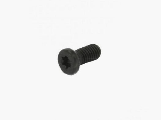 śruba torx T10 Recknagel