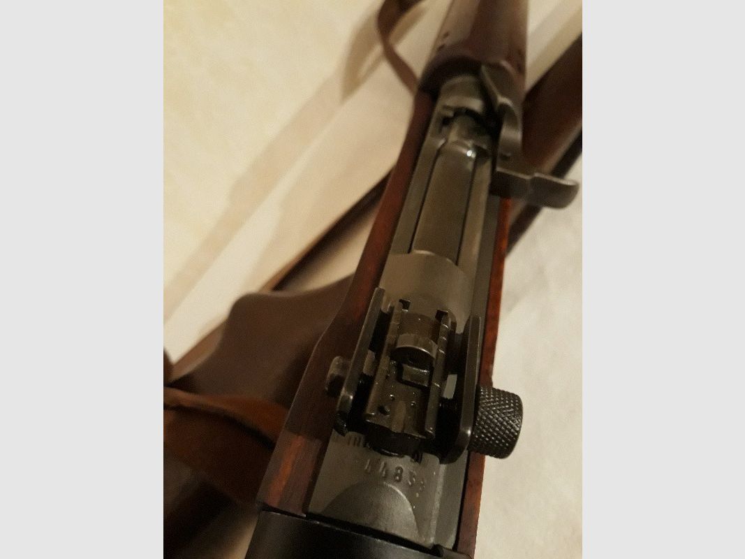 Selbstladebüchse 30 Carbine 