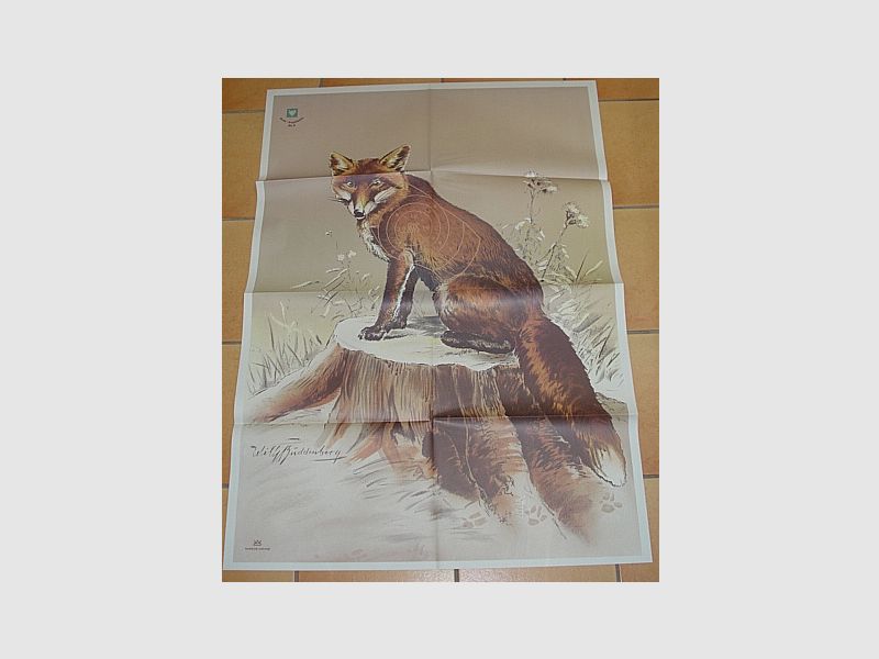 DJV Disco Nº 3 Zorro - versión antigua