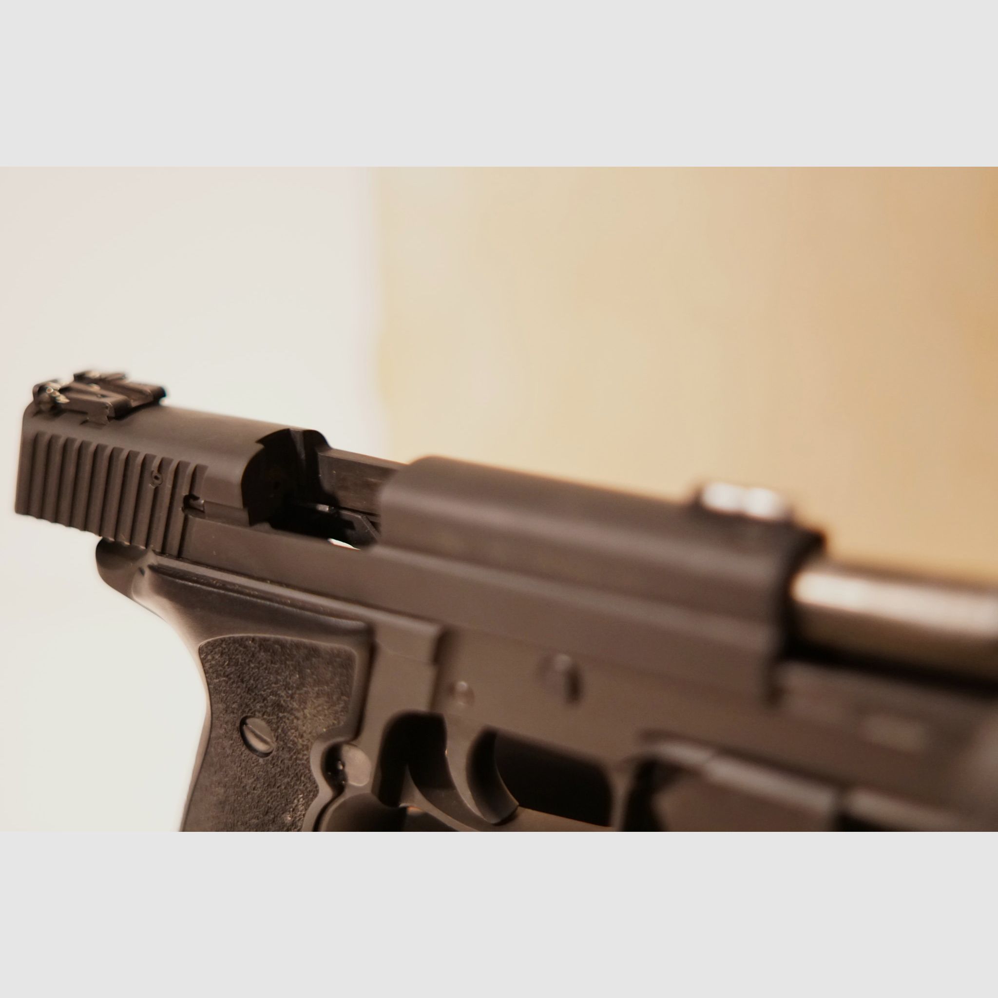 Inizio perfetto nella disciplina 9mm — Sig Sauer P226 LDC II + .22 + Mantis | 1.499 €