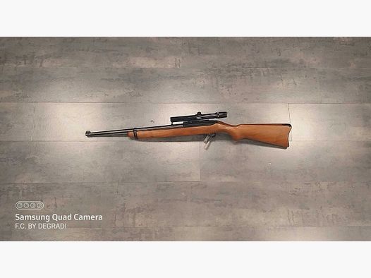 CARABINA RUGER 10 / 22 22LR