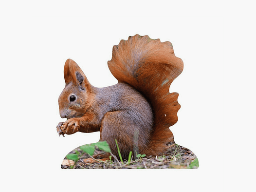 Soporte para animales Ardilla