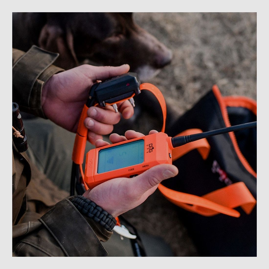 Dogtrace GPS X30-T, afbeelding 22 van 23