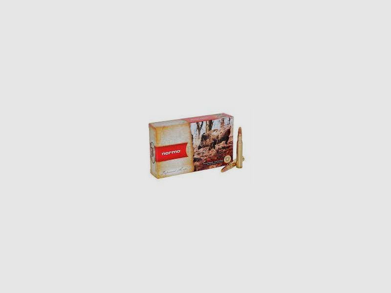 BULLET NORMA 9,3X62 PLASTIC POINT 285 GR, Bild 1 von 3