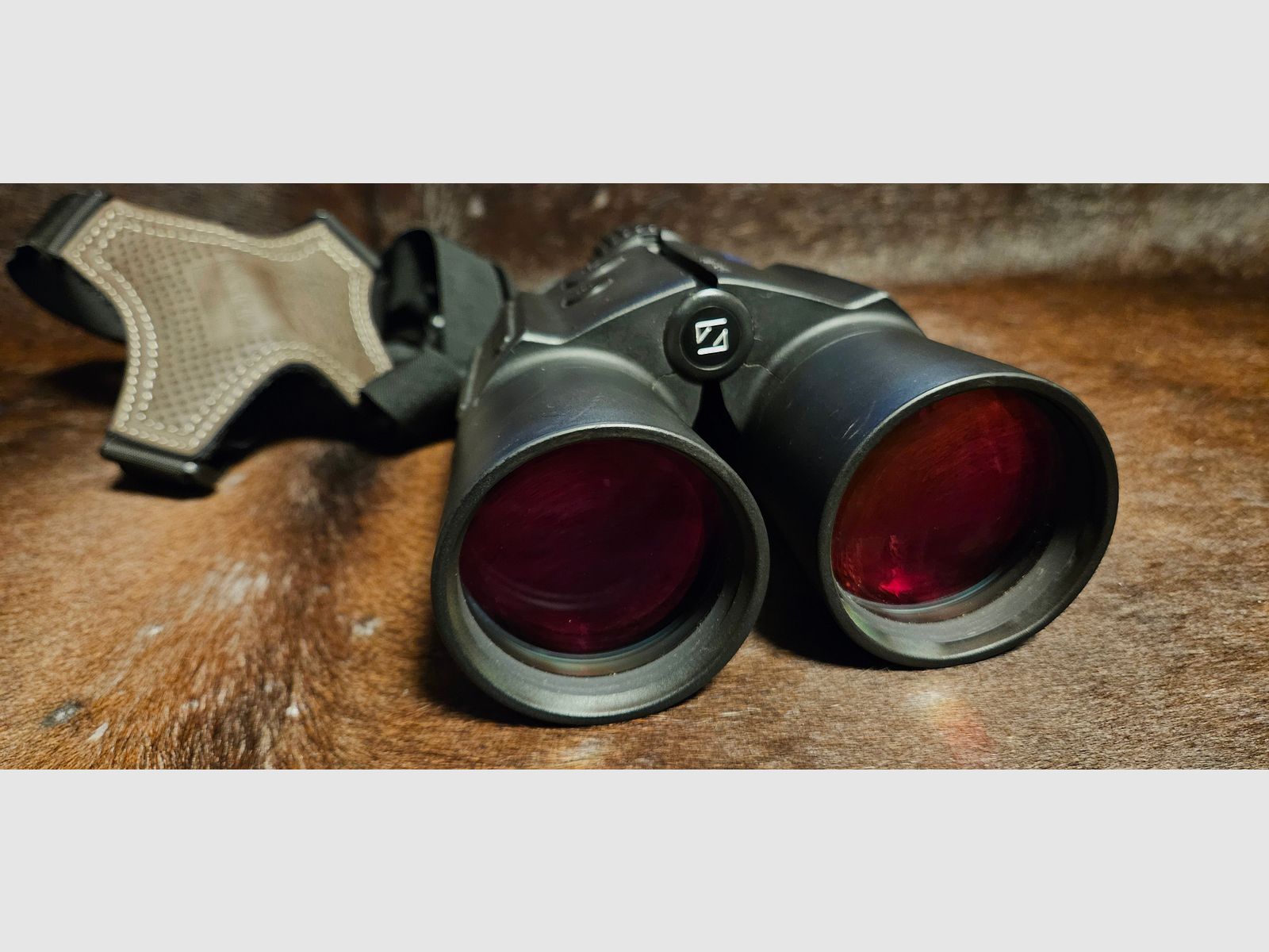 ZEISS Victory 10x56 T RF - Fernglas mit Entfernungsmesser - mit umfangreichem Zubehör