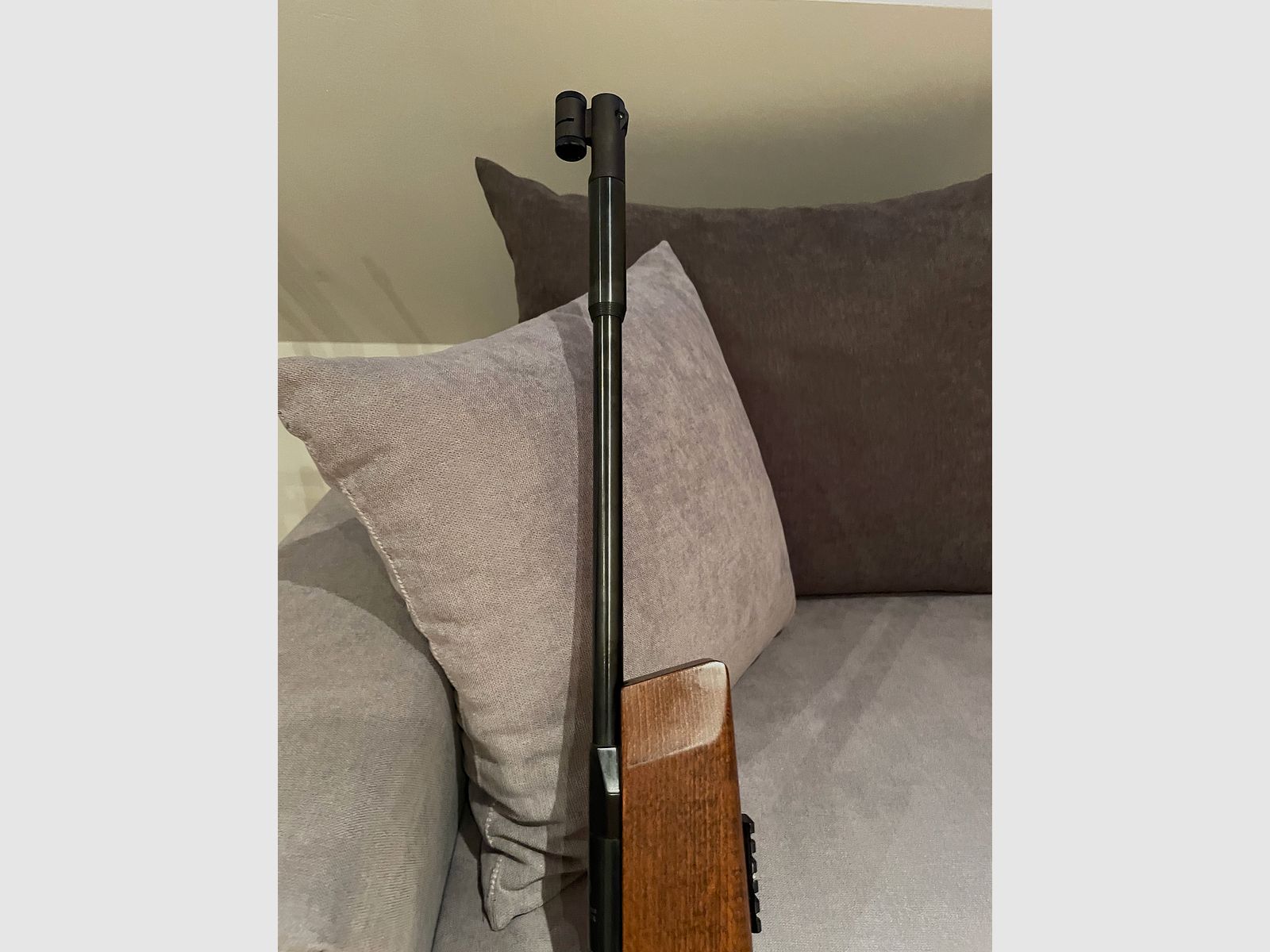 Fachwerkbau 300 S  4,5 mm Diabolo 